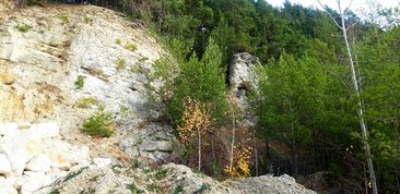 Parki i ogrody ziemi wieluńskiej - Załęczański Park Krajobrazowy - jeden z najpiękniejszych parków w Polsce, bo otulający zakole Warty